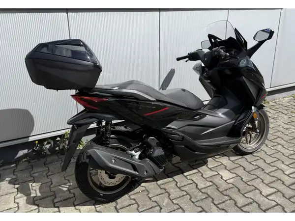 HONDA FORZA 125 (6/7)