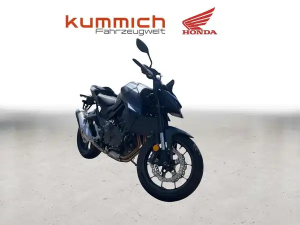 HONDA HORNET (6/7)
