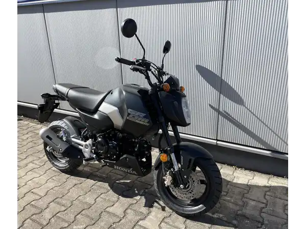HONDA MSX125 (5/7)