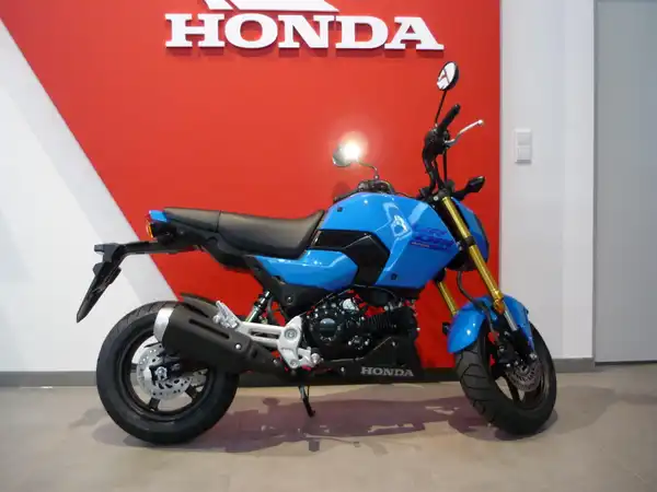 HONDA MSX125 (6/9)