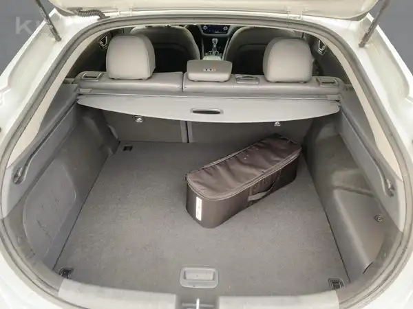 HYUNDAI IONIQ (13/15)
