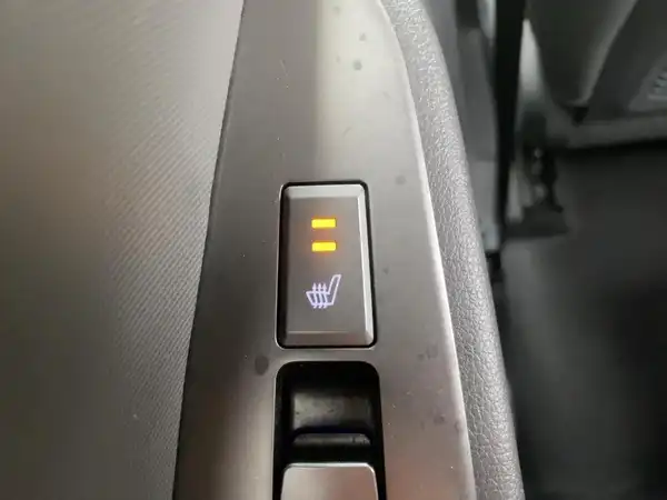 HYUNDAI IONIQ (14/15)