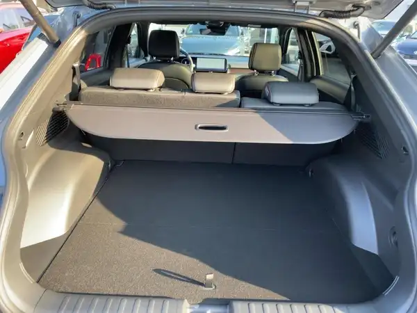 HYUNDAI IONIQ 5 N LINE (13/15)