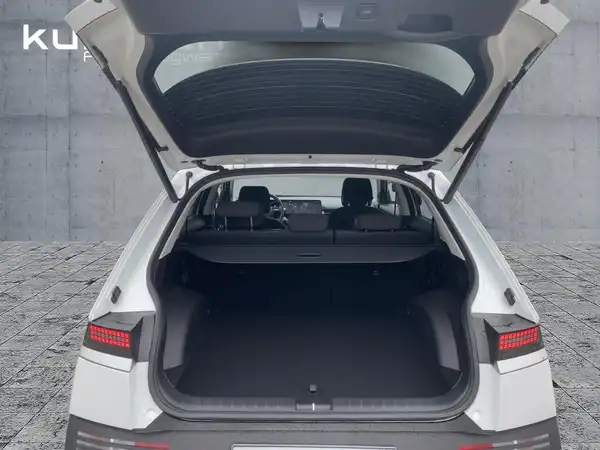 HYUNDAI IONIQ 5 CENTRIQ (13/15)