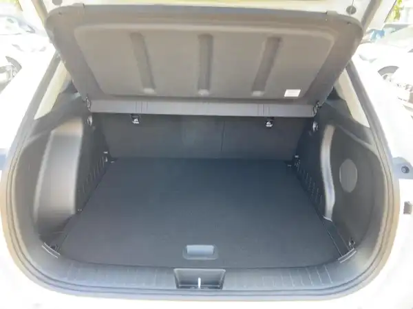 HYUNDAI KONA EV (13/15)
