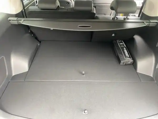 HYUNDAI SANTA FE (13/14)