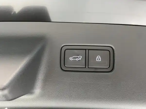 HYUNDAI SANTA FE SIGNATURE (14/15)
