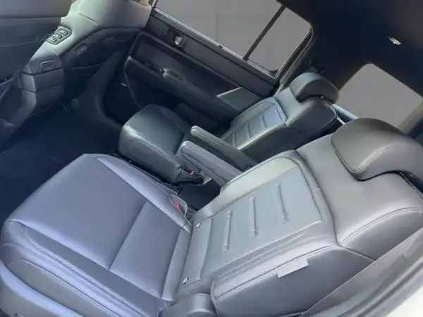 HYUNDAI SANTA FE BLACKLINE (12/14)