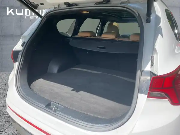 HYUNDAI SANTA FE SIGNATURE (13/15)