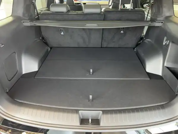 HYUNDAI SANTA FE BLACKLINE (13/15)