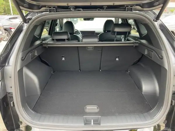 HYUNDAI TUCSON N LINE (13/15)