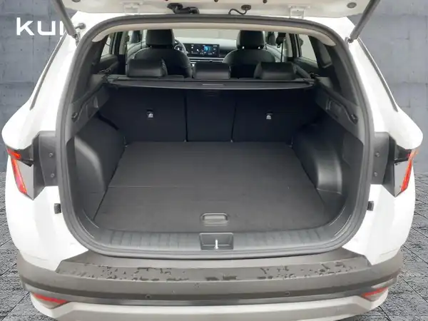 HYUNDAI TUCSON TREND (13/14)