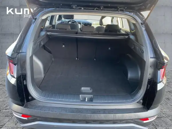 HYUNDAI TUCSON (13/14)