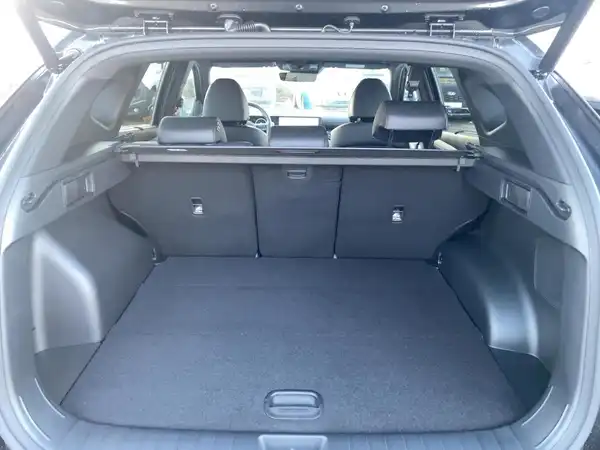 HYUNDAI TUCSON N LINE (13/15)