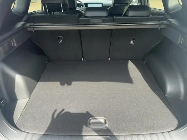 HYUNDAI TUCSON N LINE (13/15)