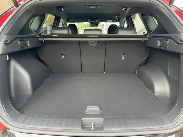 HYUNDAI TUCSON N LINE (13/14)