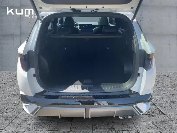HYUNDAI TUCSON N LINE (13/15)