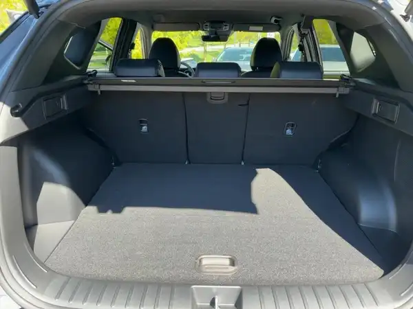 HYUNDAI TUCSON N LINE (13/14)