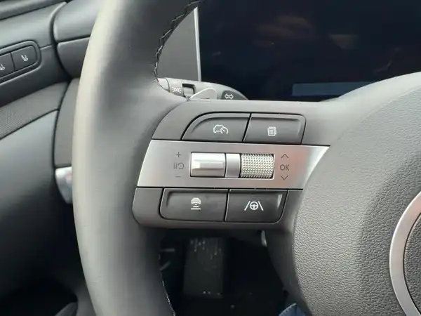 HYUNDAI TUCSON PRIME (14/15)