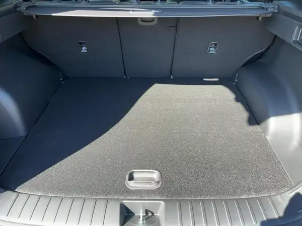 HYUNDAI TUCSON N LINE (13/14)