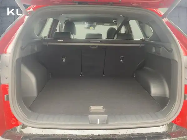 HYUNDAI TUCSON N LINE (13/15)