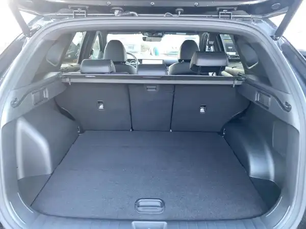 HYUNDAI TUCSON N LINE (13/15)