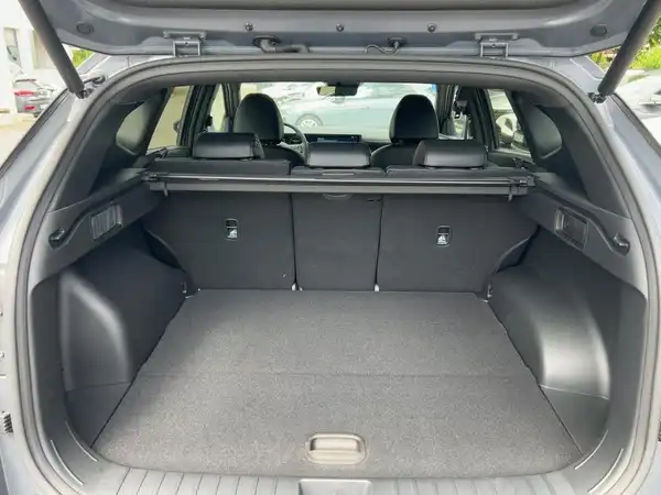 HYUNDAI TUCSON N LINE (13/14)