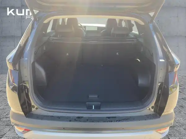 HYUNDAI TUCSON (13/15)