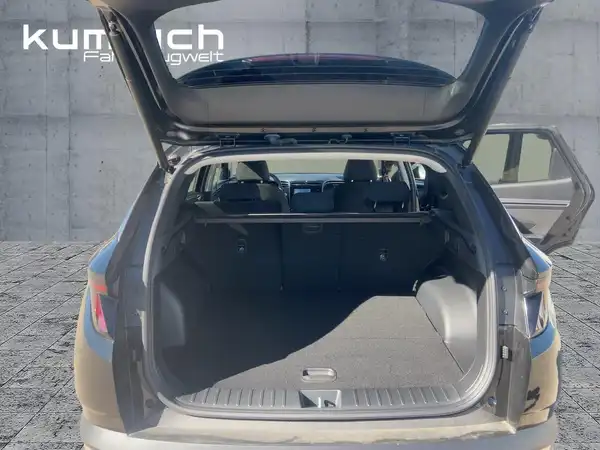 HYUNDAI TUCSON TREND (13/15)