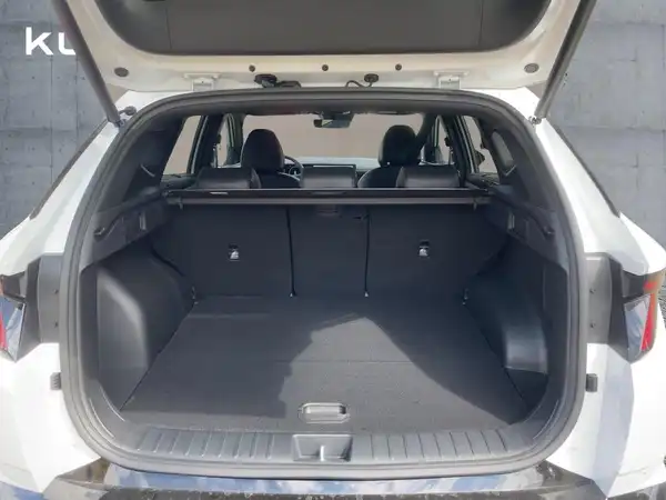 HYUNDAI TUCSON (13/15)
