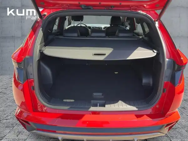 HYUNDAI TUCSON N LINE (13/15)