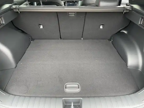HYUNDAI TUCSON N LINE (13/15)