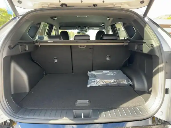 HYUNDAI TUCSON N LINE (13/14)