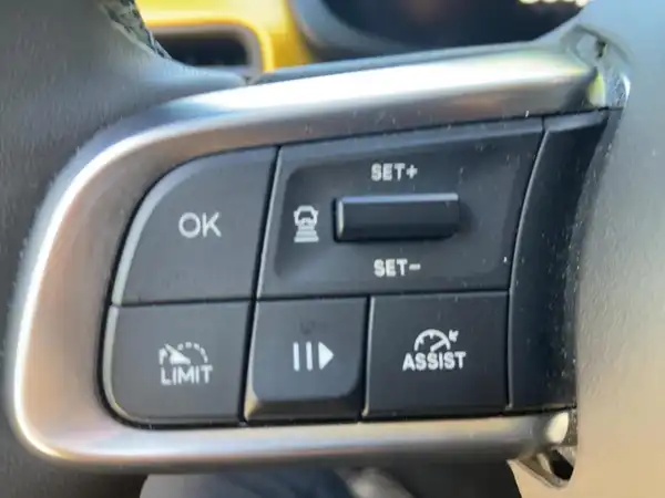 JEEP AVENGER (14/15)