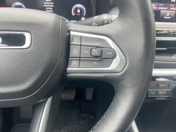 JEEP COMPASS (14/15)