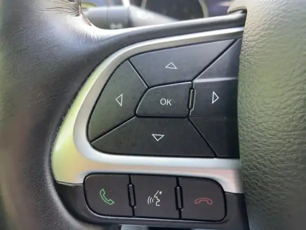 JEEP COMPASS LIMITED (14/15)