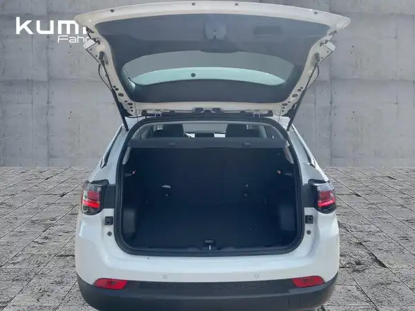 JEEP COMPASS (10/14)
