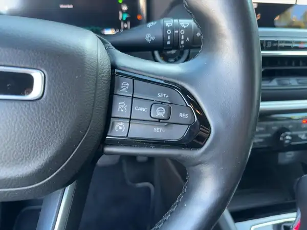JEEP COMPASS (14/15)