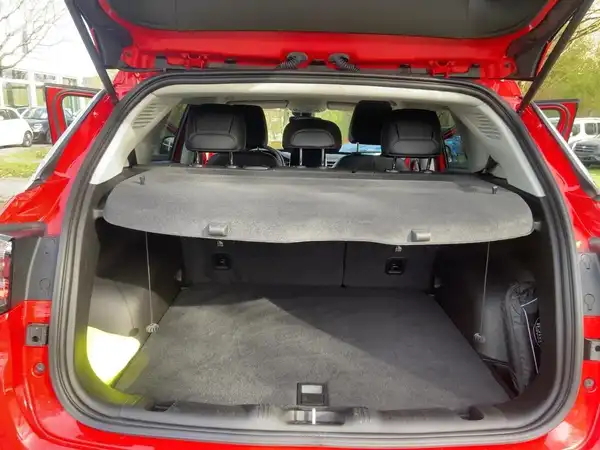 JEEP COMPASS LIMITED (13/15)
