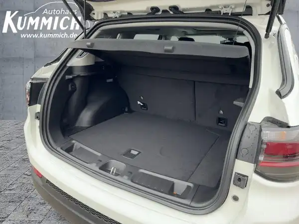 JEEP COMPASS (11/14)