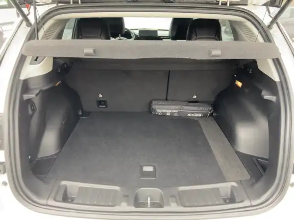 JEEP COMPASS LIMITED (13/15)