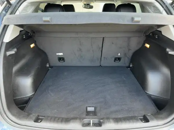 JEEP COMPASS LIMITED (13/15)