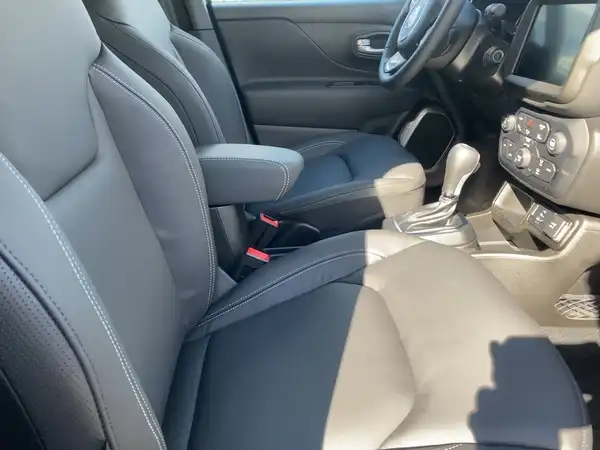 JEEP RENEGADE (11/14)