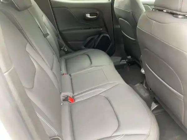JEEP RENEGADE (12/14)