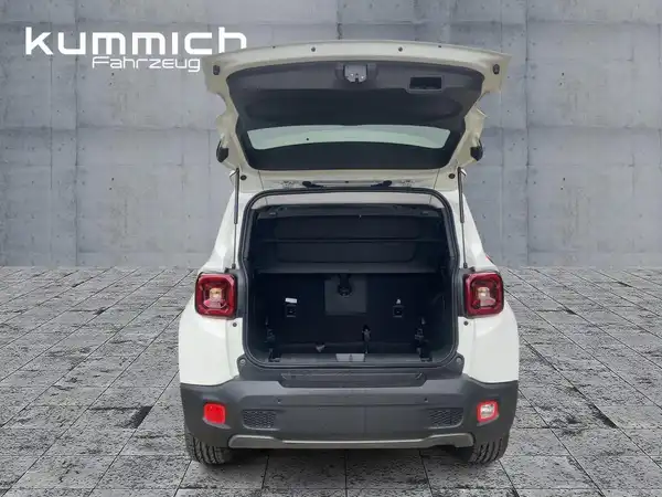 JEEP RENEGADE (13/14)