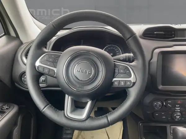 JEEP RENEGADE (9/14)