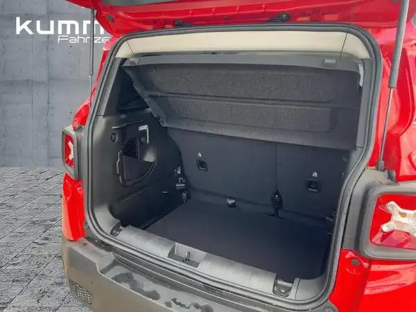 JEEP RENEGADE (13/15)