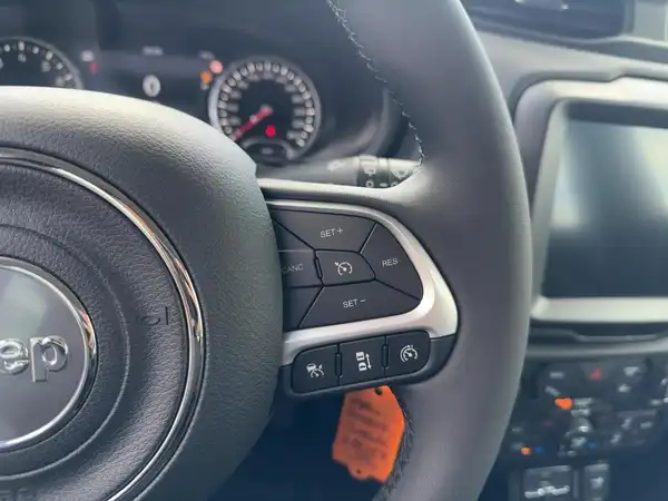 JEEP RENEGADE (14/15)