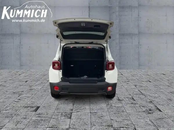 JEEP RENEGADE LIMITED (13/15)