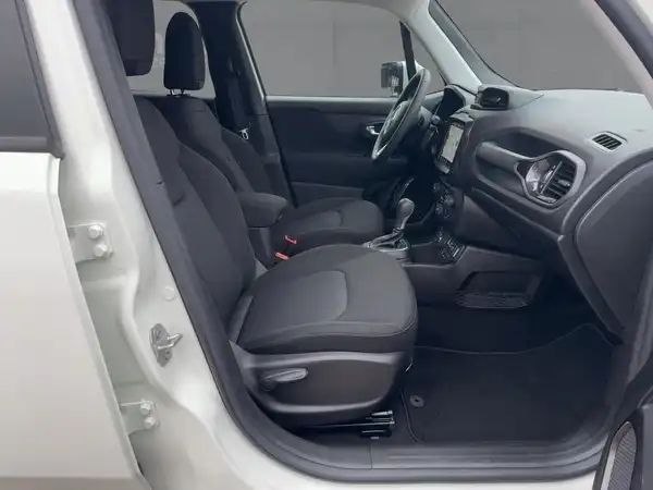 JEEP RENEGADE (11/15)